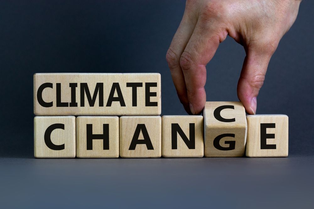 Georgian Oil and Gas Corporation (GOGC) Climate Strategy Assessment In the framework of the Technical Assistance Project in Support of the Georgian Energy Sector Reform Programme